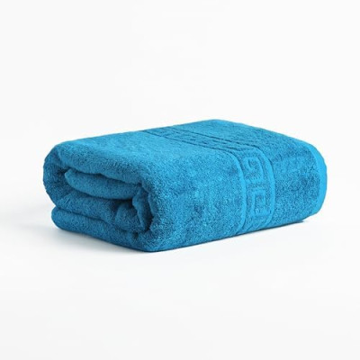 FLAROVAN Bath Sheets Oversized 40 x 70 inc (Aqua Blue)