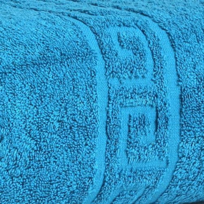 FLAROVAN Bath Sheets Oversized 40 x 70 inc (Aqua Blue)